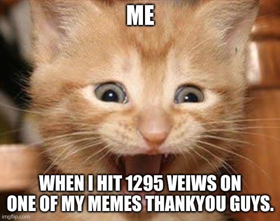 Excited Cat | ME; WHEN I HIT 1295 VEIWS ON ONE OF MY MEMES THANKYOU GUYS. | image tagged in memes,excited cat | made w/ Imgflip meme maker