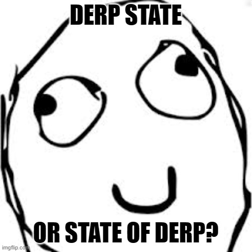 Derp Meme | DERP STATE OR STATE OF DERP? | image tagged in memes,derp | made w/ Imgflip meme maker