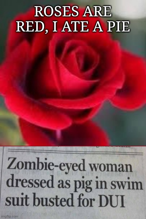 Wait, what? | ROSES ARE RED, I ATE A PIE | image tagged in roses are red | made w/ Imgflip meme maker