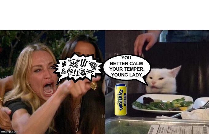 Calm down... | YOU 
BETTER CALM 
YOUR TEMPER,
YOUNG LADY. | image tagged in woman yelling at cat,twisted tea,funny cats,funny,meme | made w/ Imgflip meme maker