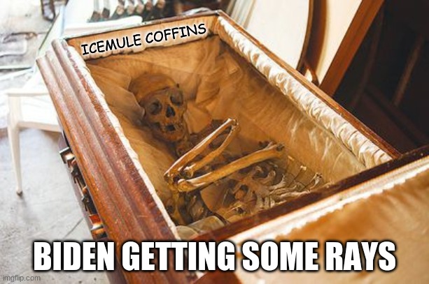 ICEMULE COFFINS; BIDEN GETTING SOME RAYS | image tagged in biden | made w/ Imgflip meme maker