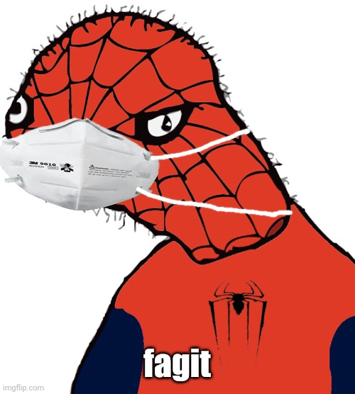 Spooderman | fagit | image tagged in spooderman | made w/ Imgflip meme maker