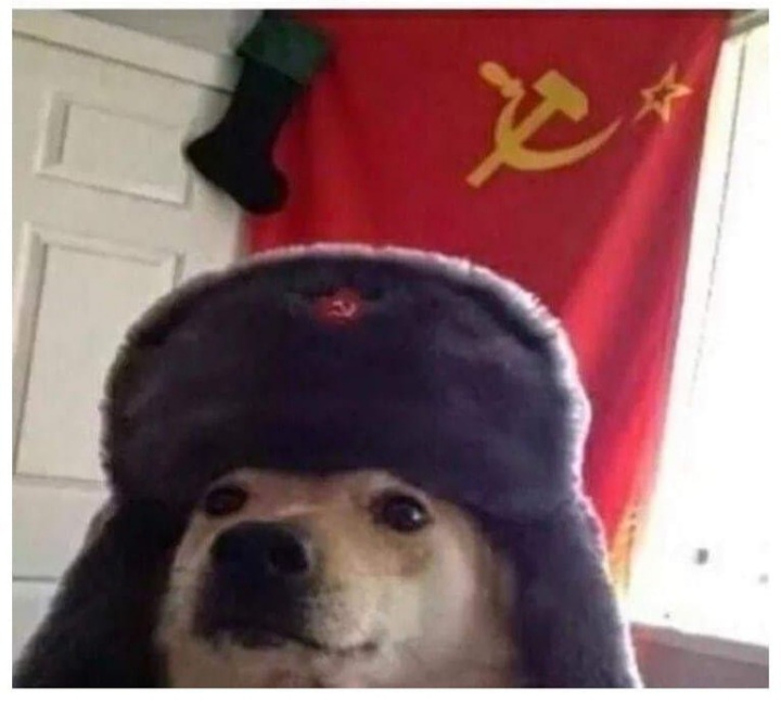 High Quality Comunism doggo Blank Meme Template