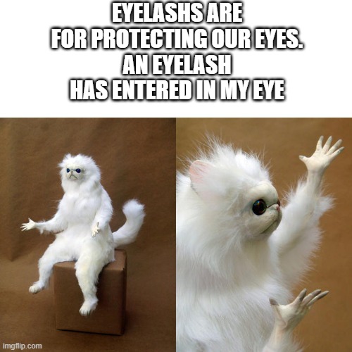 eyelash | EYELASHS ARE FOR PROTECTING OUR EYES.
AN EYELASH HAS ENTERED IN MY EYE | image tagged in memes,persian cat room guardian,eyes | made w/ Imgflip meme maker