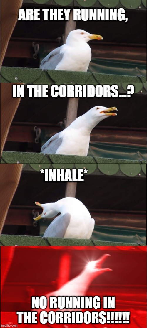Inhaling Seagull Meme | ARE THEY RUNNING, IN THE CORRIDORS...? *INHALE*; NO RUNNING IN THE CORRIDORS!!!!!! | image tagged in memes,inhaling seagull | made w/ Imgflip meme maker