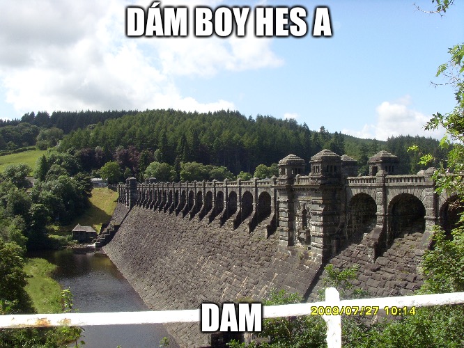DÁM BOY HES A; DAM | image tagged in damn | made w/ Imgflip meme maker