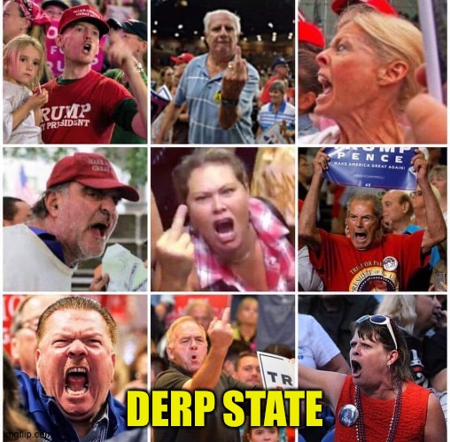 Derp State | DERP STATE | image tagged in triggered trump supporters | made w/ Imgflip meme maker