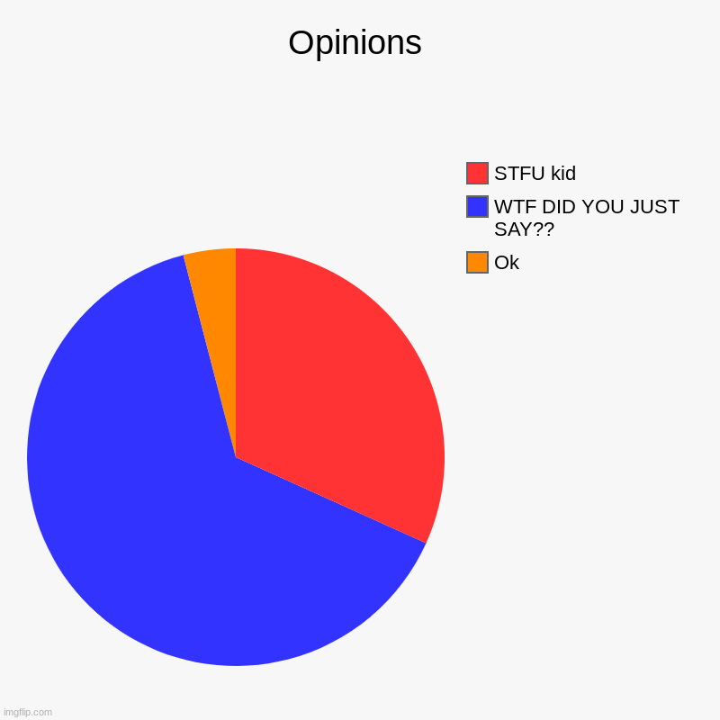 Opinions | Ok, WTF DID YOU JUST SAY??, STFU kid | image tagged in charts,pie charts | made w/ Imgflip chart maker