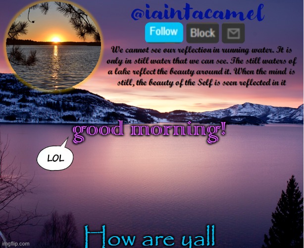 l o l | good morning! How are yall | image tagged in iaintacamel | made w/ Imgflip meme maker