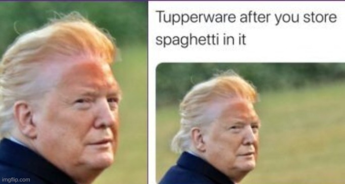 It true tho. | image tagged in donald trump,politics,memes | made w/ Imgflip meme maker