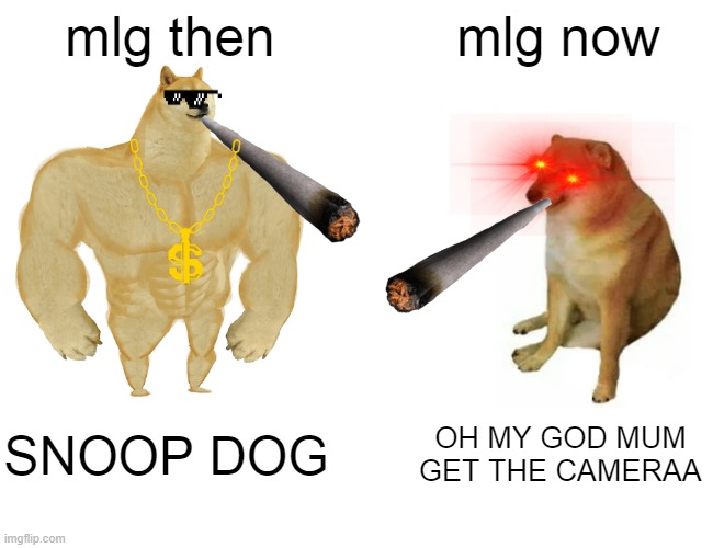 Buff Doge vs. Cheems | mlg then; mlg now; SNOOP DOG; OH MY GOD MUM GET THE CAMERAA | image tagged in memes,buff doge vs cheems | made w/ Imgflip meme maker