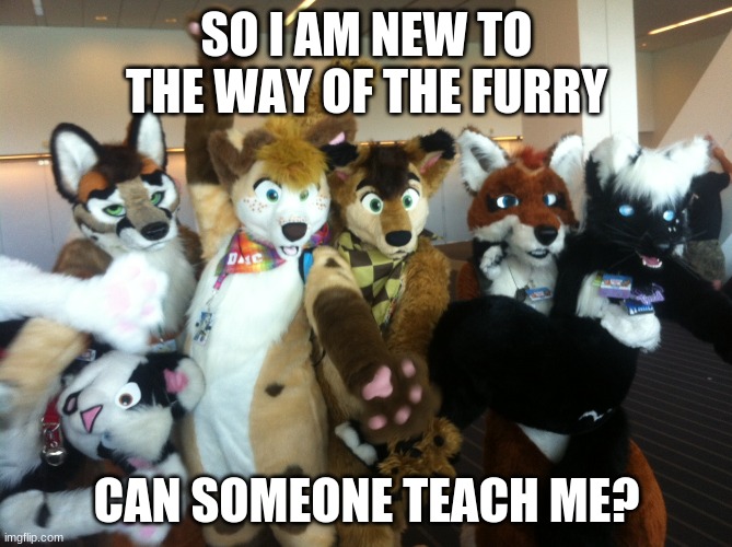 I don't have a fursuit | SO I AM NEW TO THE WAY OF THE FURRY; CAN SOMEONE TEACH ME? | image tagged in furries | made w/ Imgflip meme maker