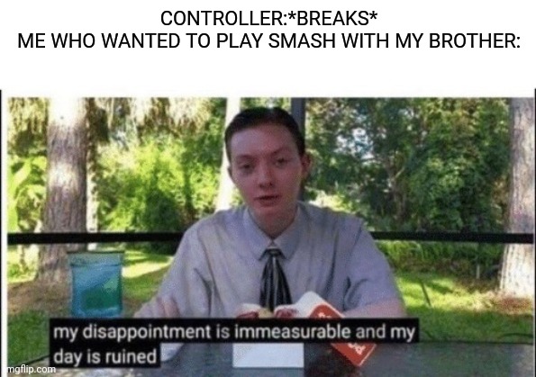 Yes my controller broke | CONTROLLER:*BREAKS*
ME WHO WANTED TO PLAY SMASH WITH MY BROTHER: | image tagged in my dissapointment is immeasurable and my day is ruined,nintendo,smash bros | made w/ Imgflip meme maker
