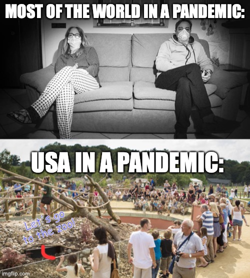 USA vs World during a pandemic | MOST OF THE WORLD IN A PANDEMIC:; USA IN A PANDEMIC:; Let's go to the zoo! | image tagged in pandemic,usa | made w/ Imgflip meme maker