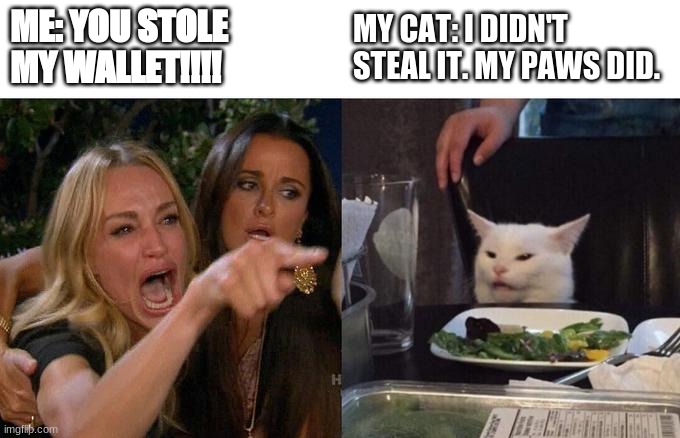 Woman Yelling At Cat | ME: YOU STOLE MY WALLET!!!! MY CAT: I DIDN'T STEAL IT. MY PAWS DID. | image tagged in memes,woman yelling at cat | made w/ Imgflip meme maker