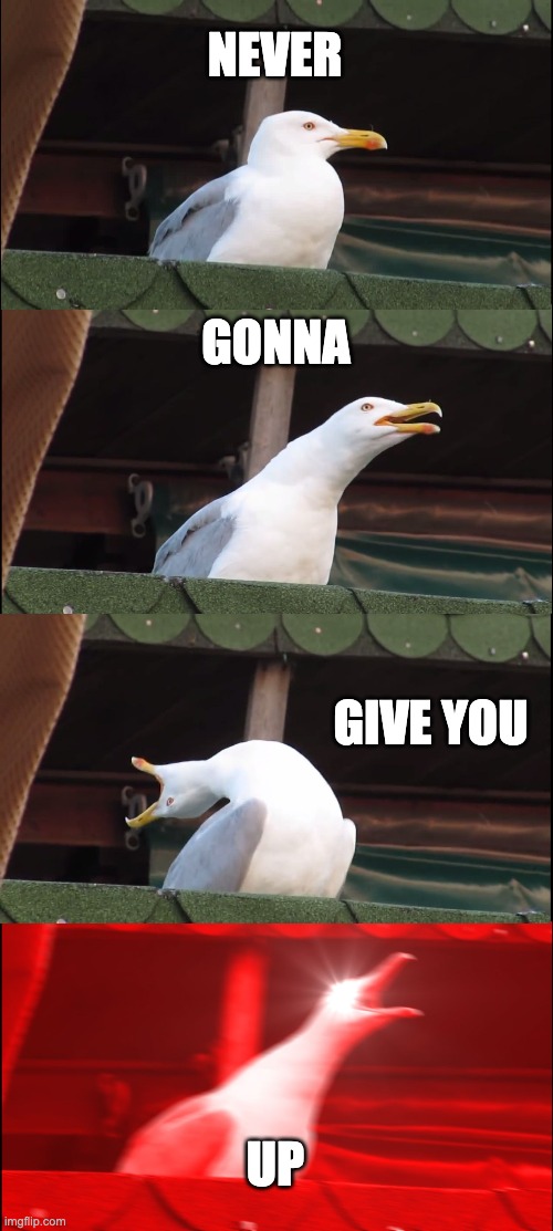 Inhaling Seagull Meme | NEVER; GONNA; GIVE YOU; UP | image tagged in memes,inhaling seagull | made w/ Imgflip meme maker