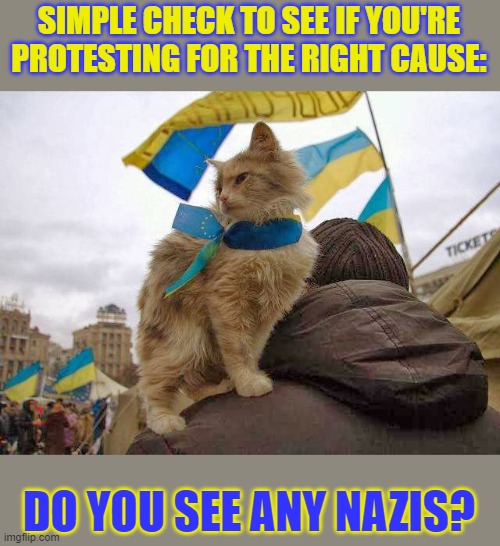 Simple check to see if you're protesting for the right cause | SIMPLE CHECK TO SEE IF YOU'RE PROTESTING FOR THE RIGHT CAUSE:; DO YOU SEE ANY NAZIS? | image tagged in protest,demonstration,nazis | made w/ Imgflip meme maker