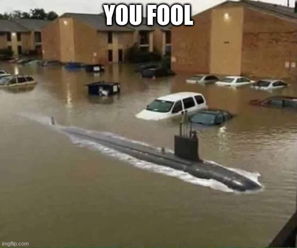 YOU FOOL | image tagged in submarine in parking lot | made w/ Imgflip meme maker