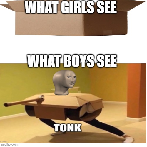 Tonk | WHAT GIRLS SEE; WHAT BOYS SEE | image tagged in tonk | made w/ Imgflip meme maker