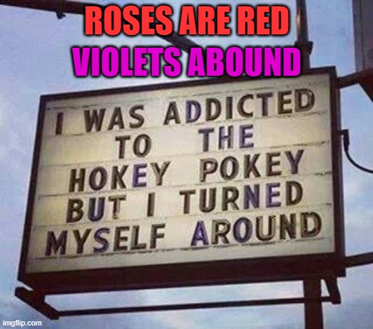 I stopped drinking and I'll drink to that |  VIOLETS ABOUND; ROSES ARE RED | image tagged in memes,poem,hokey pokey,sign,roses are red | made w/ Imgflip meme maker
