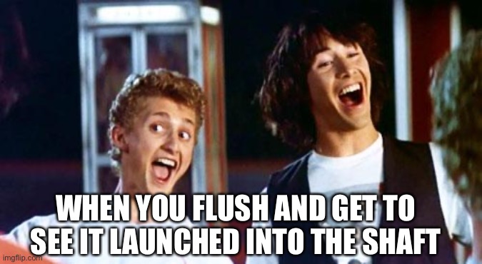 Bill and Ted | WHEN YOU FLUSH AND GET TO SEE IT LAUNCHED INTO THE SHAFT | image tagged in bill and ted | made w/ Imgflip meme maker