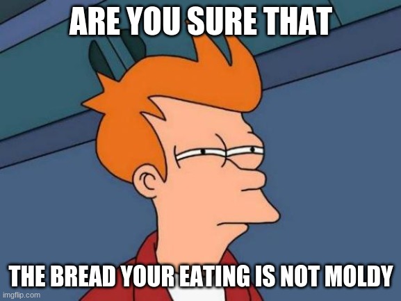 Futurama Fry Meme | ARE YOU SURE THAT; THE BREAD YOUR EATING IS NOT MOLDY | image tagged in memes,futurama fry | made w/ Imgflip meme maker