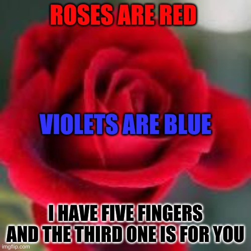 roses are red | ROSES ARE RED; VIOLETS ARE BLUE; I HAVE FIVE FINGERS AND THE THIRD ONE IS FOR YOU | image tagged in roses are red | made w/ Imgflip meme maker
