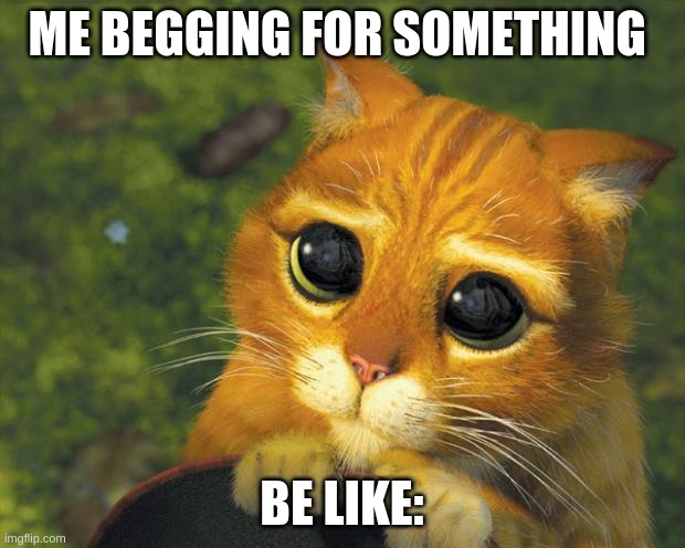 puss in boots | ME BEGGING FOR SOMETHING; BE LIKE: | image tagged in puss in boots | made w/ Imgflip meme maker