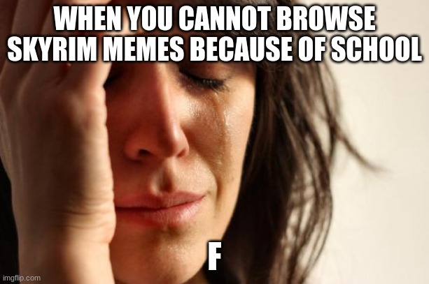 First World Problems | WHEN YOU CANNOT BROWSE SKYRIM MEMES BECAUSE OF SCHOOL; F | image tagged in memes,first world problems,original meme | made w/ Imgflip meme maker
