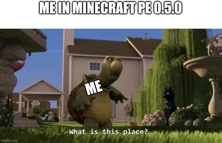 Mcpe 0.5.0 | ME IN MINECRAFT PE 0.5.0; ME | image tagged in what is this place | made w/ Imgflip meme maker