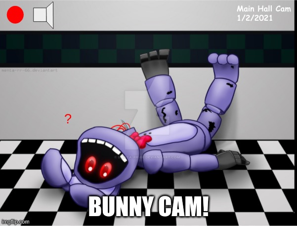 Bun on Camera! | BUNNY CAM! | image tagged in fnaf2 | made w/ Imgflip meme maker