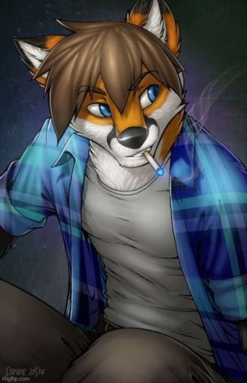 Just some cool furry art (Credit to the artist[Their tag is on the art]) | made w/ Imgflip meme maker