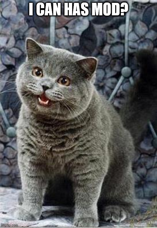 Can I mod? | I CAN HAS MOD? | image tagged in i can has cheezburger cat | made w/ Imgflip meme maker