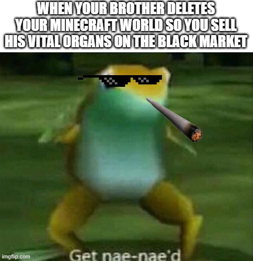 Get nae-nae'd | WHEN YOUR BROTHER DELETES YOUR MINECRAFT WORLD SO YOU SELL HIS VITAL ORGANS ON THE BLACK MARKET | image tagged in get nae-nae'd | made w/ Imgflip meme maker