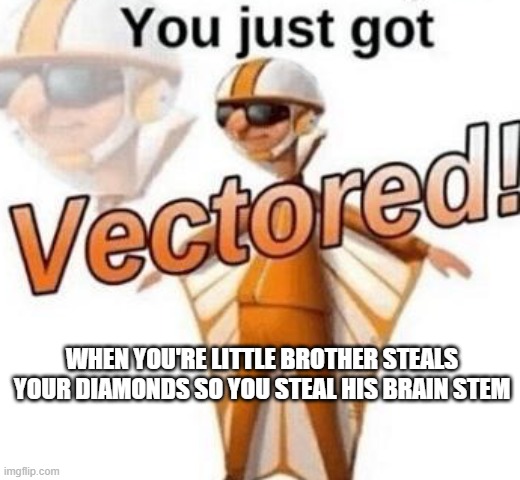 You just got vectored | WHEN YOU'RE LITTLE BROTHER STEALS YOUR DIAMONDS SO YOU STEAL HIS BRAIN STEM | image tagged in you just got vectored | made w/ Imgflip meme maker
