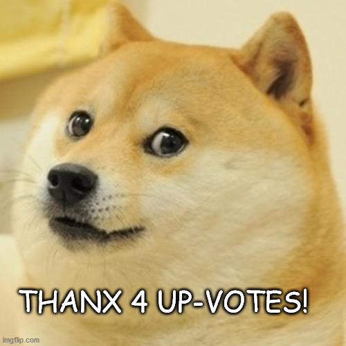 Doge Meme | THANX 4 UP-VOTES! | image tagged in memes,doge | made w/ Imgflip meme maker