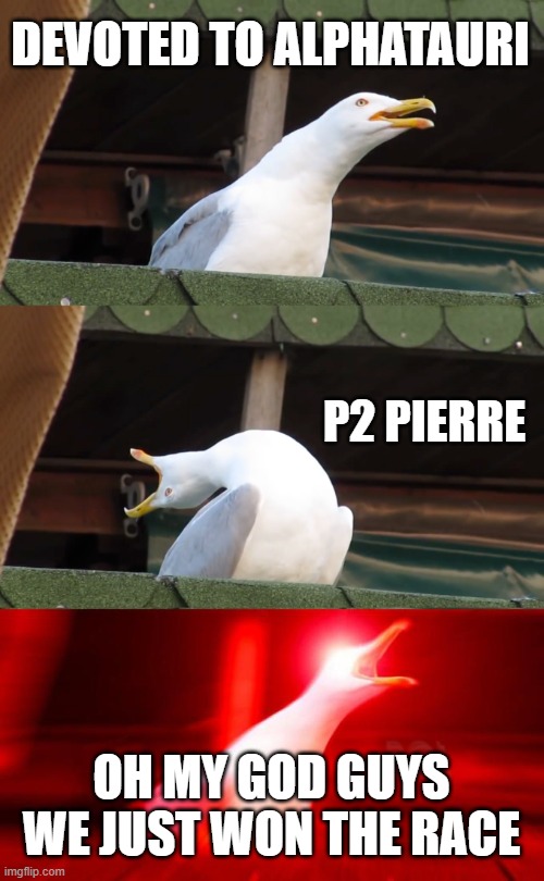Pierre Gasly's life | DEVOTED TO ALPHATAURI; P2 PIERRE; OH MY GOD GUYS WE JUST WON THE RACE | image tagged in inhaling seagull | made w/ Imgflip meme maker