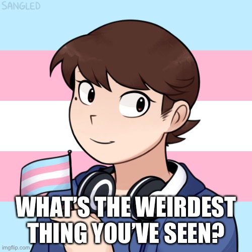 WHAT’S THE WEIRDEST THING YOU’VE SEEN? | image tagged in darmug's trans picrew | made w/ Imgflip meme maker