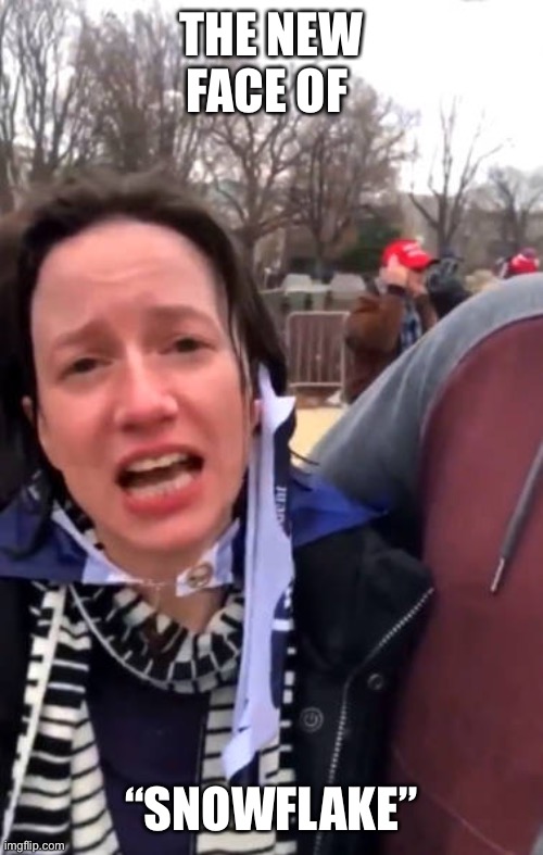 Her entitlement was hilarious. | THE NEW FACE OF; “SNOWFLAKE” | image tagged in elizabeth from knoxville,magatard | made w/ Imgflip meme maker