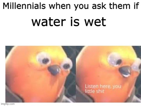 Haha my water go brr | Millennials when you ask them if; water is wet | image tagged in is water wet,water,wet | made w/ Imgflip meme maker