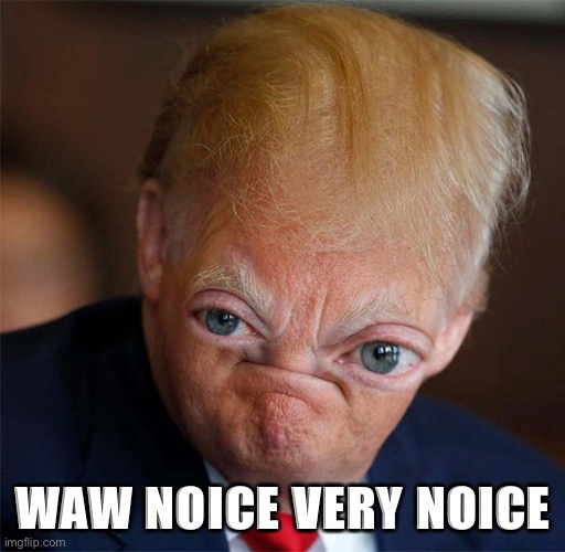 Trump waw noice very noice Blank Meme Template