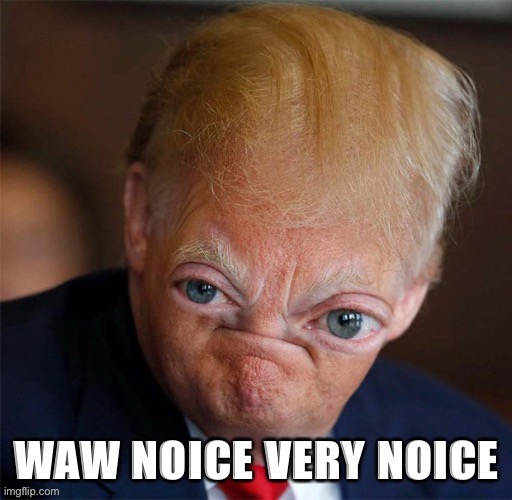 Trump waw noice very noice | image tagged in trump waw noice very noice,custom template,trump,donald trump,reactions,reaction | made w/ Imgflip meme maker