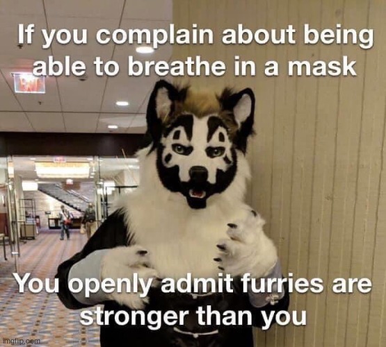 got bored and made this | image tagged in furry,face mask | made w/ Imgflip meme maker