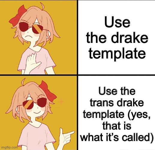 trans drake meme | Use the drake template Use the trans drake template (yes, that is what it’s called) | image tagged in trans drake meme | made w/ Imgflip meme maker