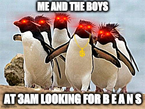 Me and the boys | ME AND THE BOYS; AT 3AM LOOKING FOR B E A N S | image tagged in memes,penguin gang | made w/ Imgflip meme maker