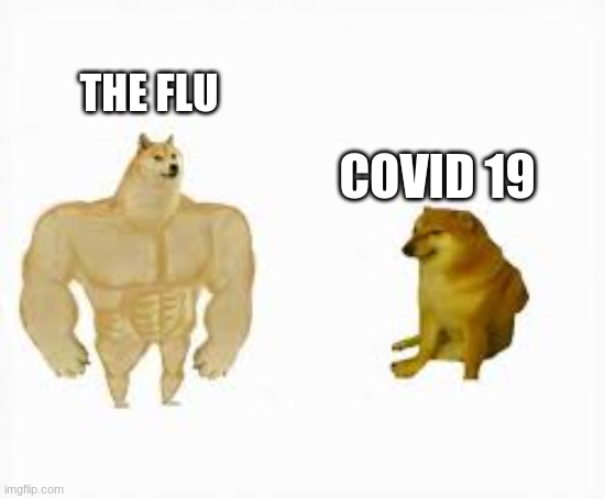 Meme perro 2020 | THE FLU; COVID 19 | image tagged in meme perro 2020 | made w/ Imgflip meme maker