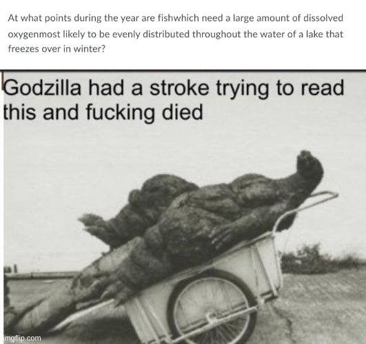 image tagged in godzilla | made w/ Imgflip meme maker