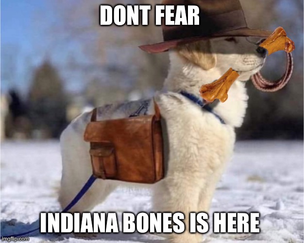 Dont fear indiana bones is here | DONT FEAR; INDIANA BONES IS HERE | image tagged in funny,memes,fun,funny memes | made w/ Imgflip meme maker