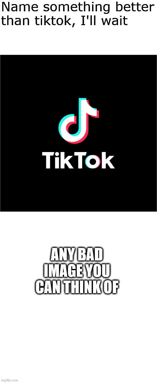 New template | ANY BAD IMAGE YOU CAN THINK OF | image tagged in name something better than tiktok i'll wait | made w/ Imgflip meme maker