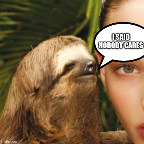 Whisper Sloth Meme | I SAID NOBODY CARES | image tagged in memes,whisper sloth | made w/ Imgflip meme maker